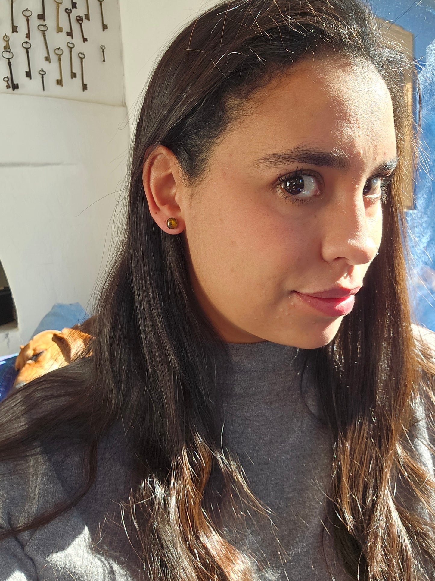 Top Back aros intercambiables GRANDES grande Top Ojo de Tigre en plata y Back Luna en Bronce