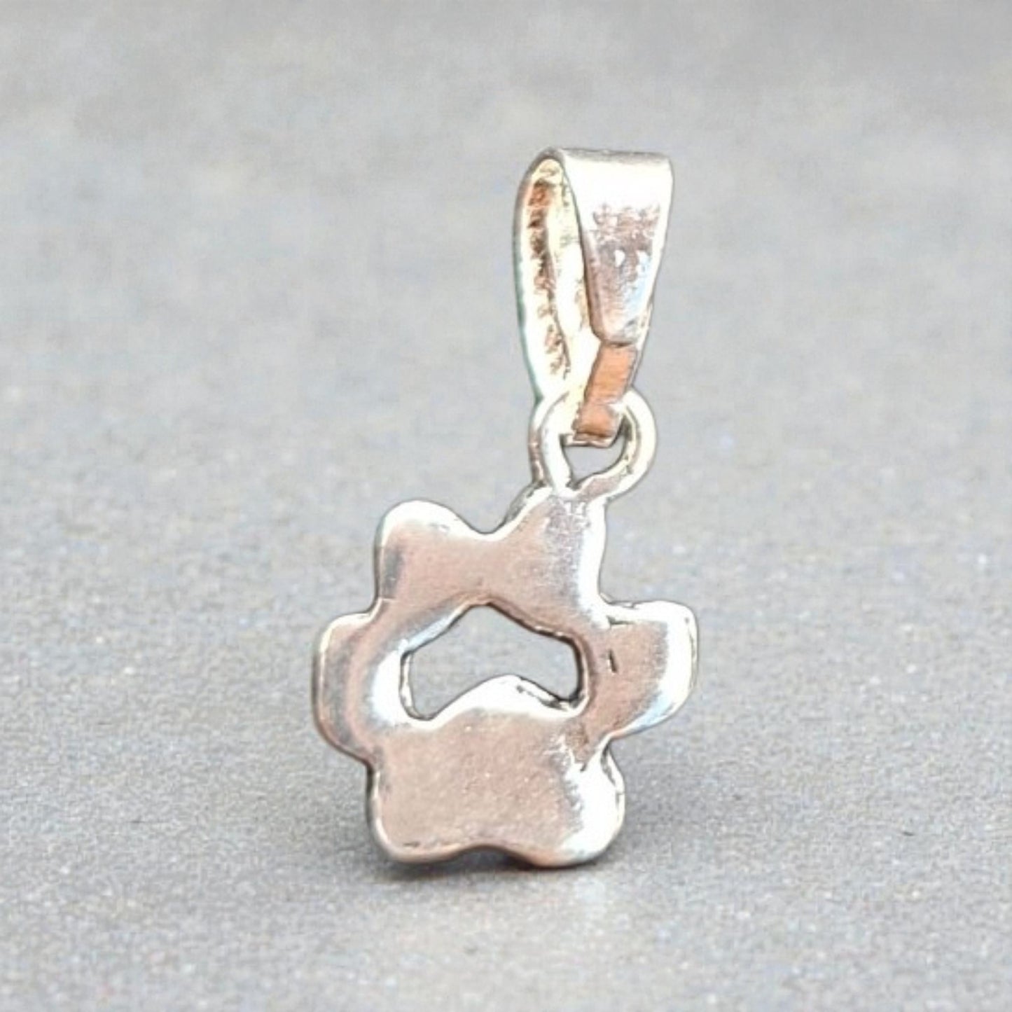 Colgante de huellita de mascota plata 950