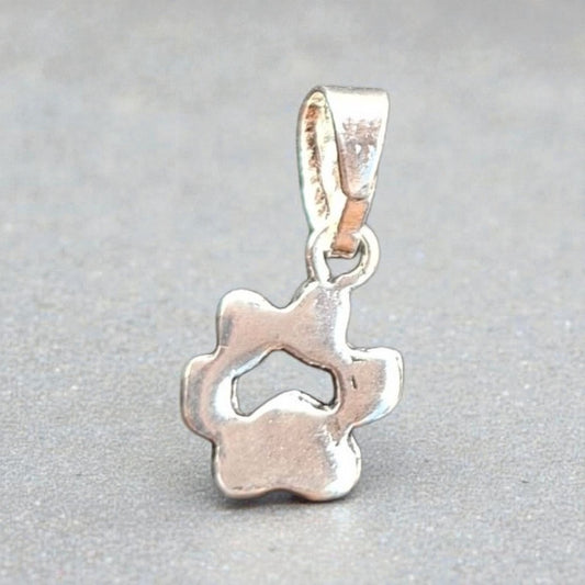 Colgante de huellita de mascota plata 950